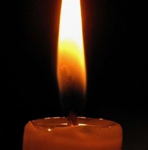 Meet your Posher, Gilbert